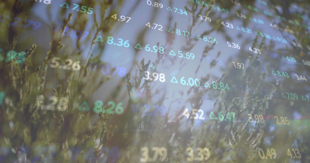 Nature Merging with Stock Market Growth and Technology Boosts