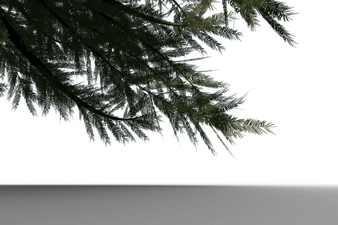 Green Tree Branches on Transparent Background for Nature Designs