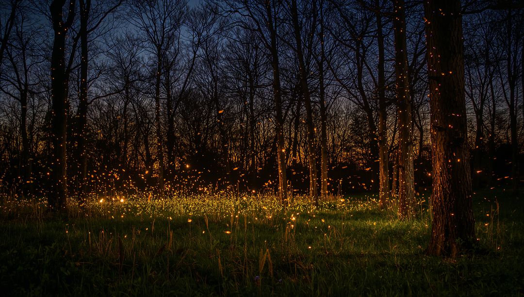 Firefly Meadow at Dusk with Floating Bioluminescent Glow and Twinkling Tree Lights
