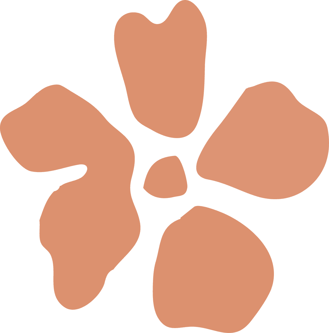 Abstract Peach Flower with Transparent Background