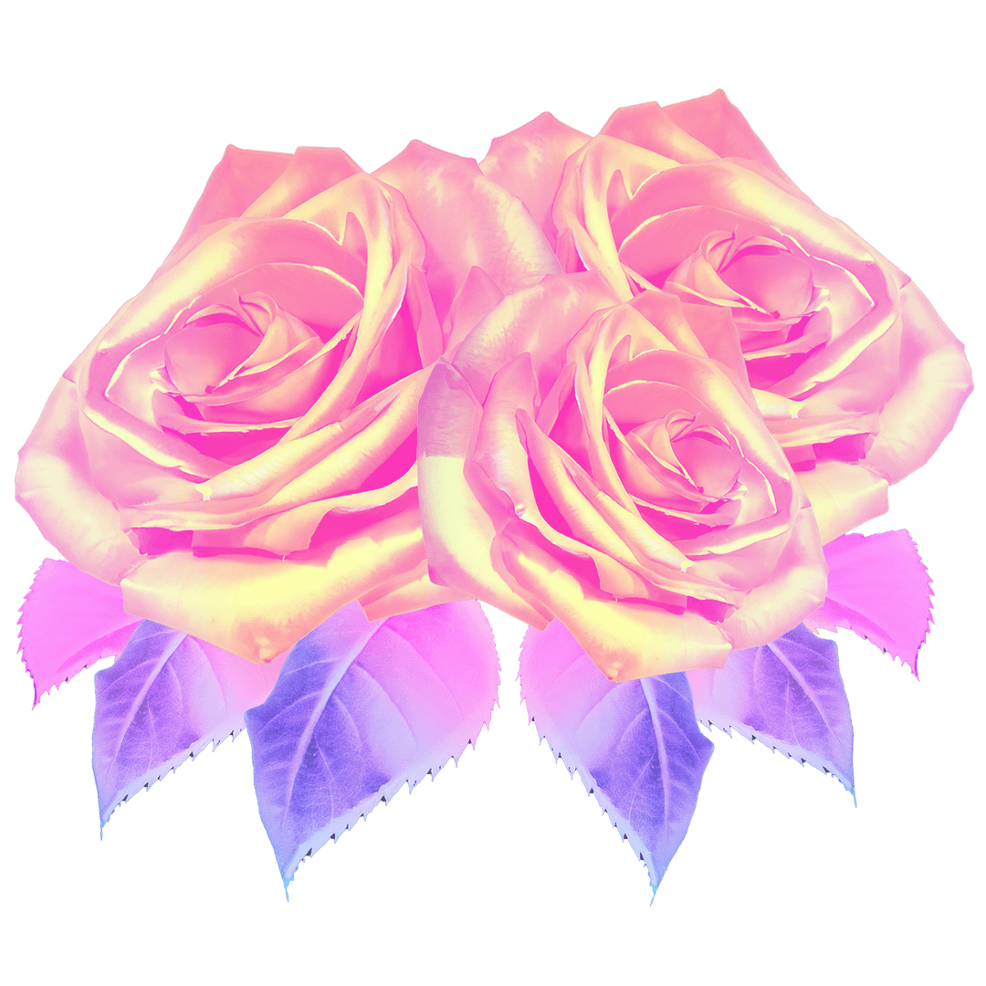 Pink Gradient Roses With Violet Leaves on Transparent Background