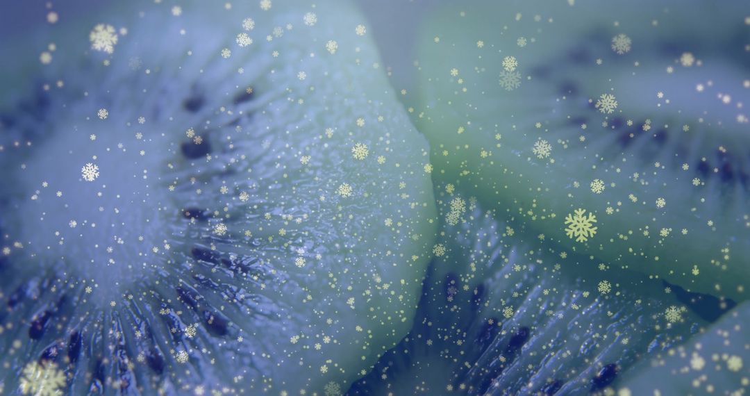 Macro Kiwi Fruit Slices with Snowflake Overlay Festive Abstract