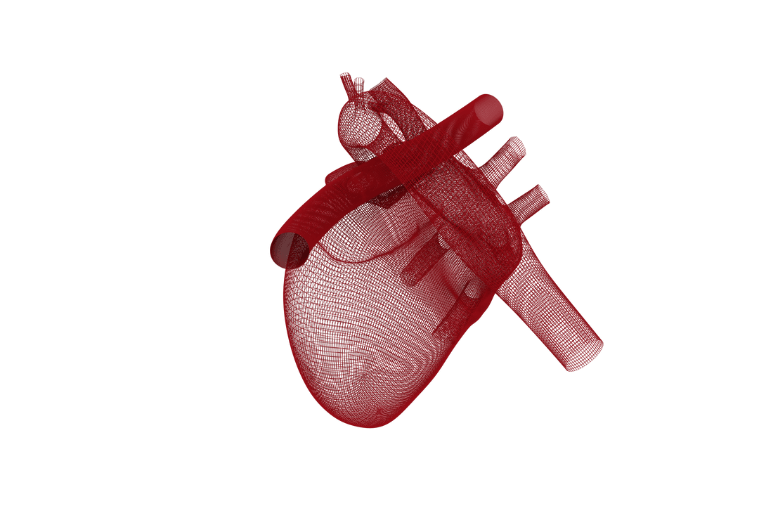 Transparent 3D Human Heart Black Background
