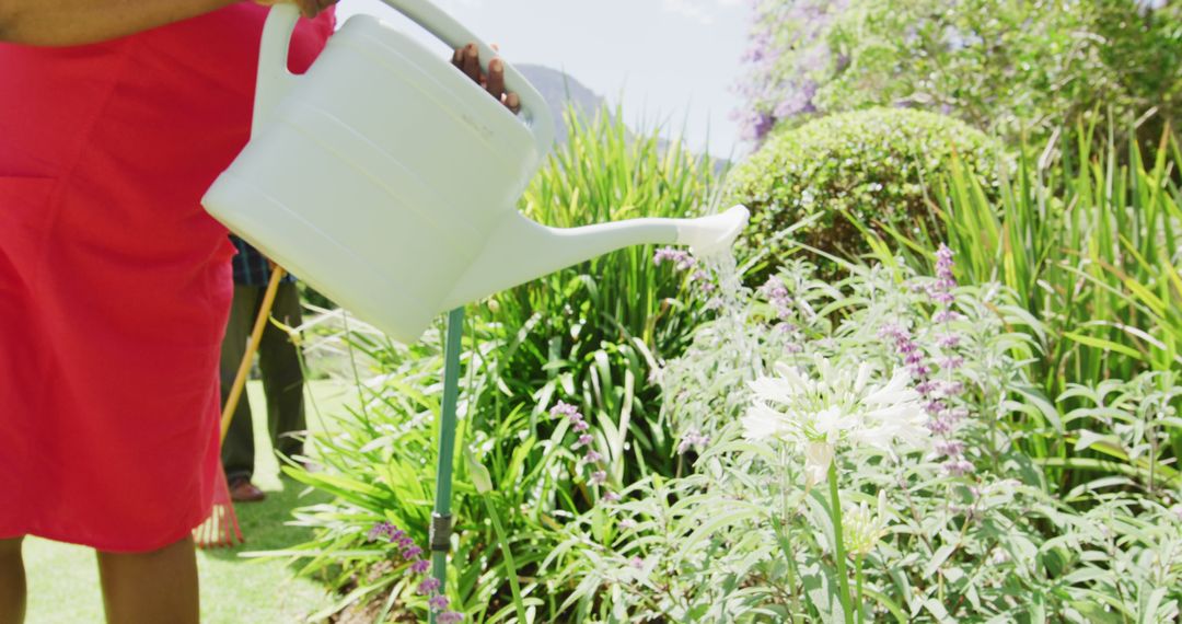 Gardener watering plants in lush garden on sunny day - Free Images, Stock Photos and Pictures on Pikwizard.com