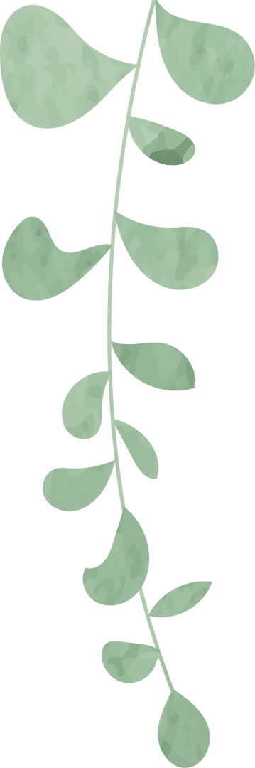 Stylized Green Vine Branch with Flowing Leaves and Transparent Background