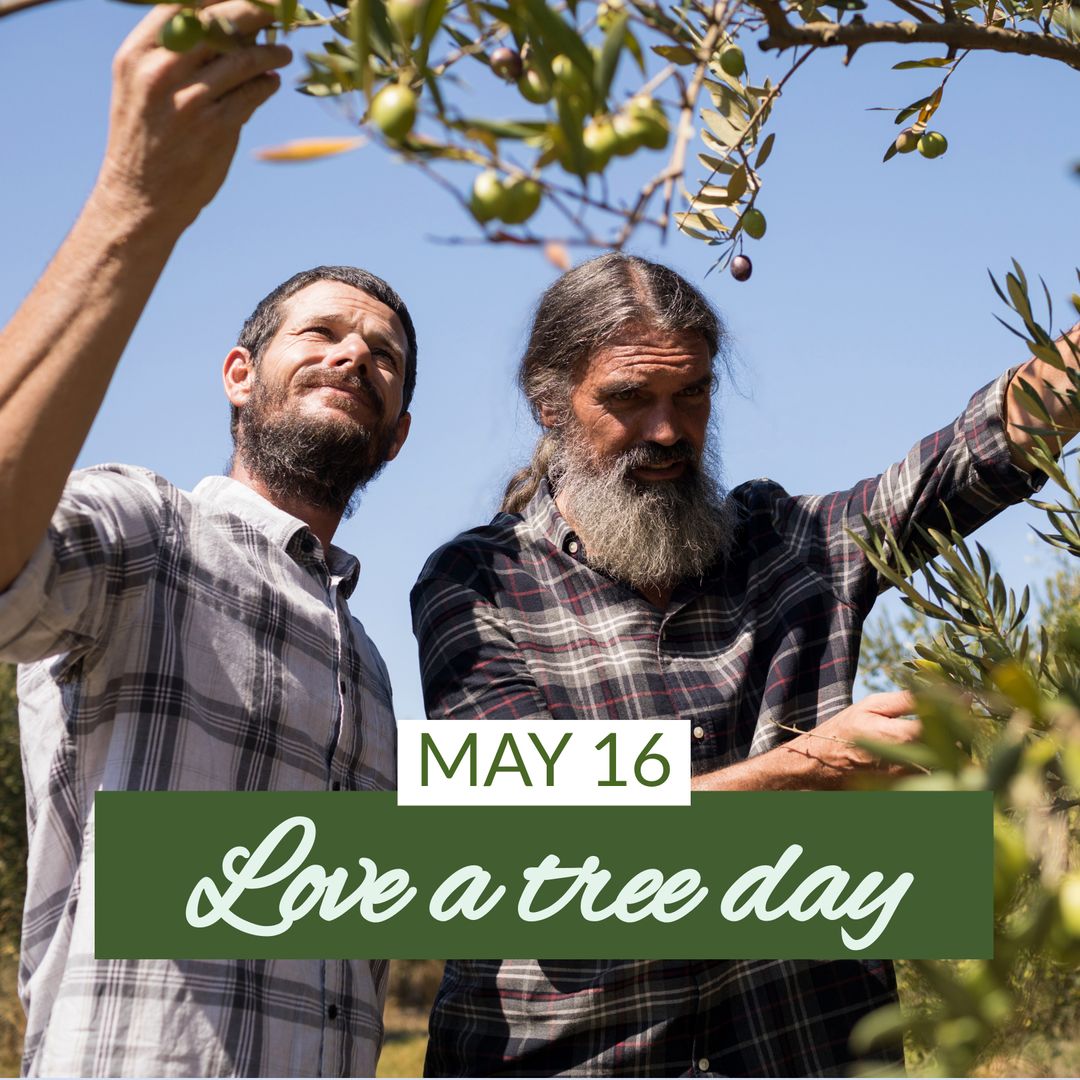 Father and Son Enjoying Orchard on Love a Tree Day, Celebrating Nature