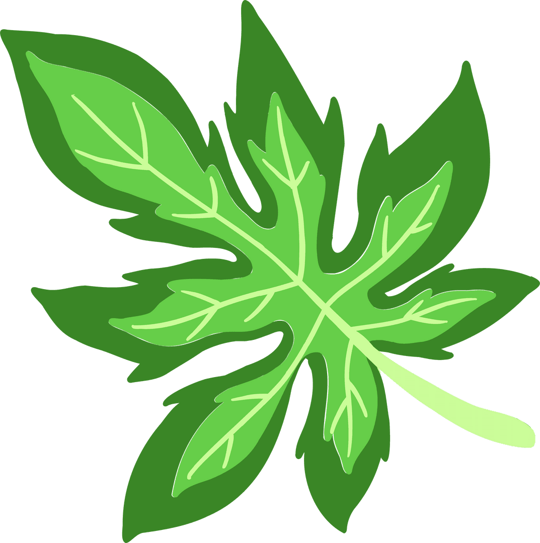 Eco-Friendly Green Leaf Illustration on Transparent Background