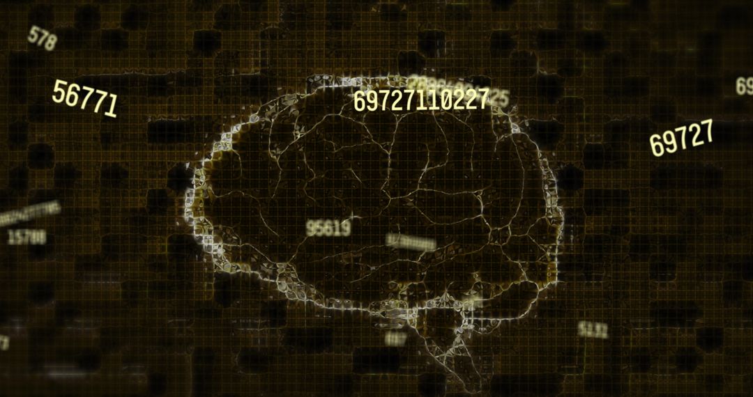 Digitized Brain Visual with Evolving Numbers