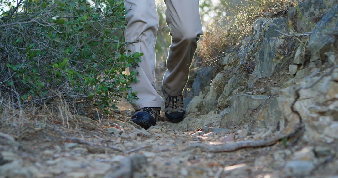 Person Hiking on Rocky Trail in Forest - Free Images, Stock Photos and Pictures on Pikwizard.com