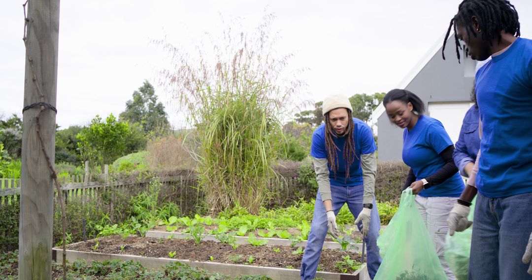 Volunteers digging raised beds and collecting green waste in community garden