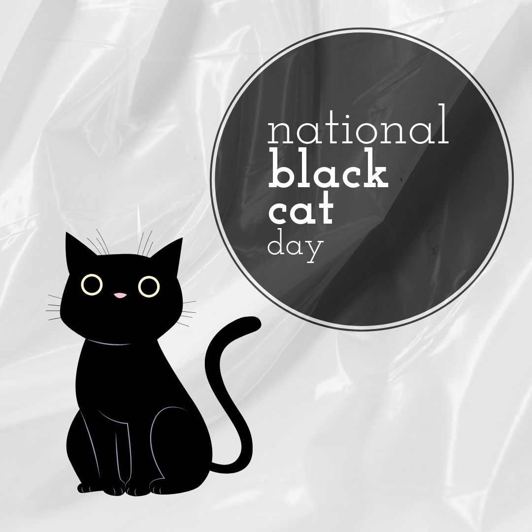 Image of black cat day over black cat on grey background - Download Free Stock Templates Pikwizard.com