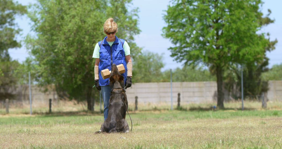 Woman Training German Shepherd with Wooden Dumbbell Outdoors - Free Images, Stock Photos and Pictures on Pikwizard.com