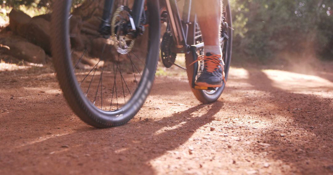 Mountain Biker on Dusty Trail in Forest - Free Images, Stock Photos and Pictures on Pikwizard.com