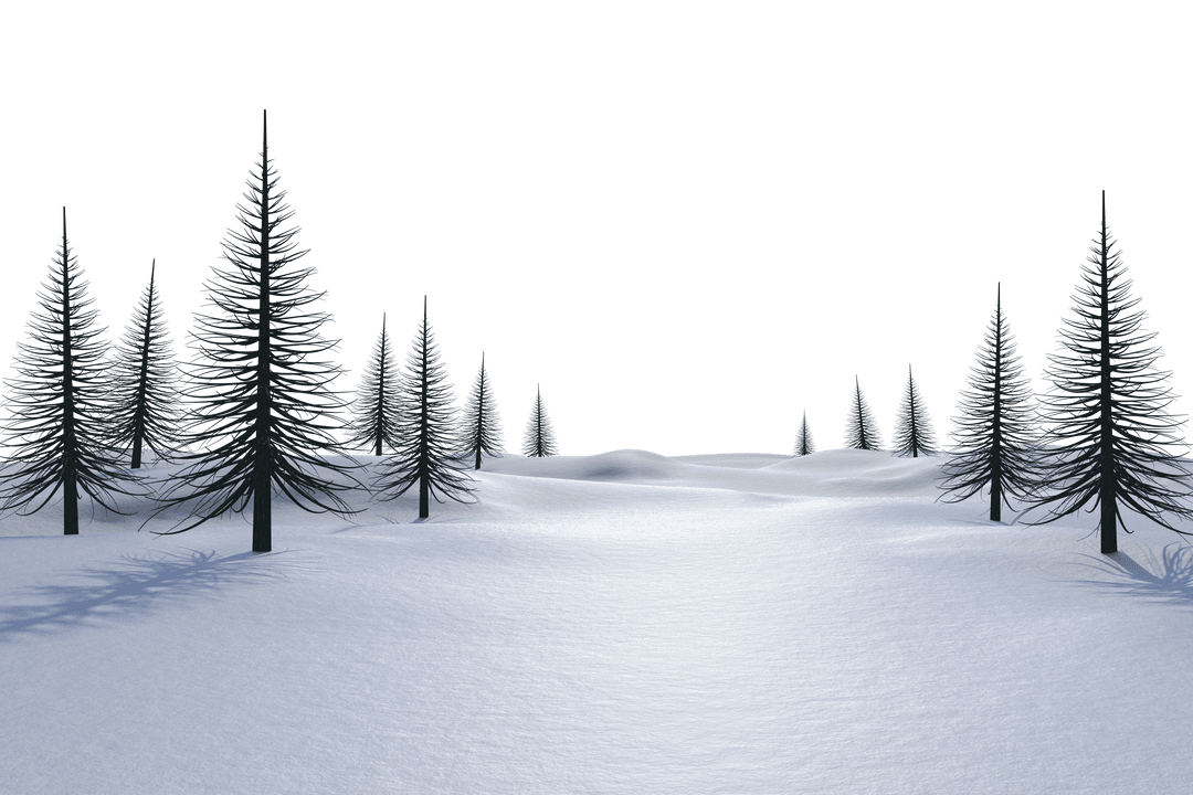 Dense Snowy Forest Under Clear Sky in Transparent Winter Scene