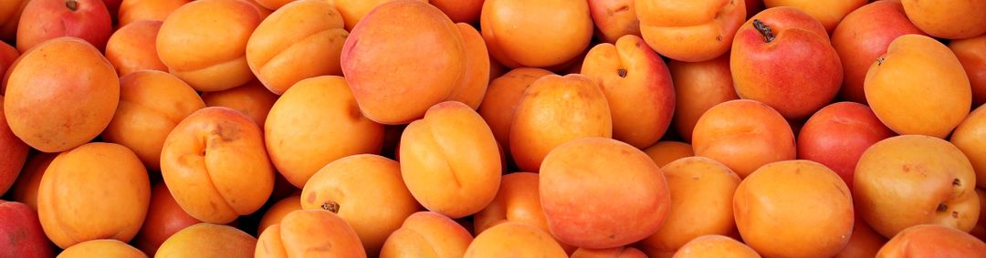 Close-Up of Fresh Ripe Apricots in Abundance - Free Images, Stock Photos and Pictures on Pikwizard.com