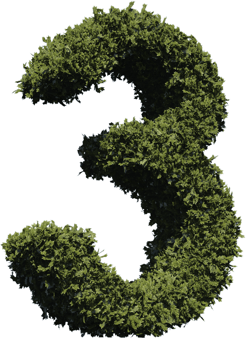 Transparent Leafy Number Three Symbol Analyzing Ecological Styles