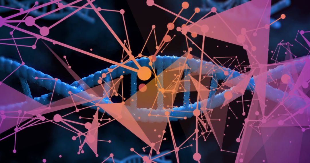 Digital Network Over DNA Strand Highlighting Genetic Research