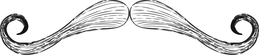 Handlebar Moustache Illustration Transparent Background