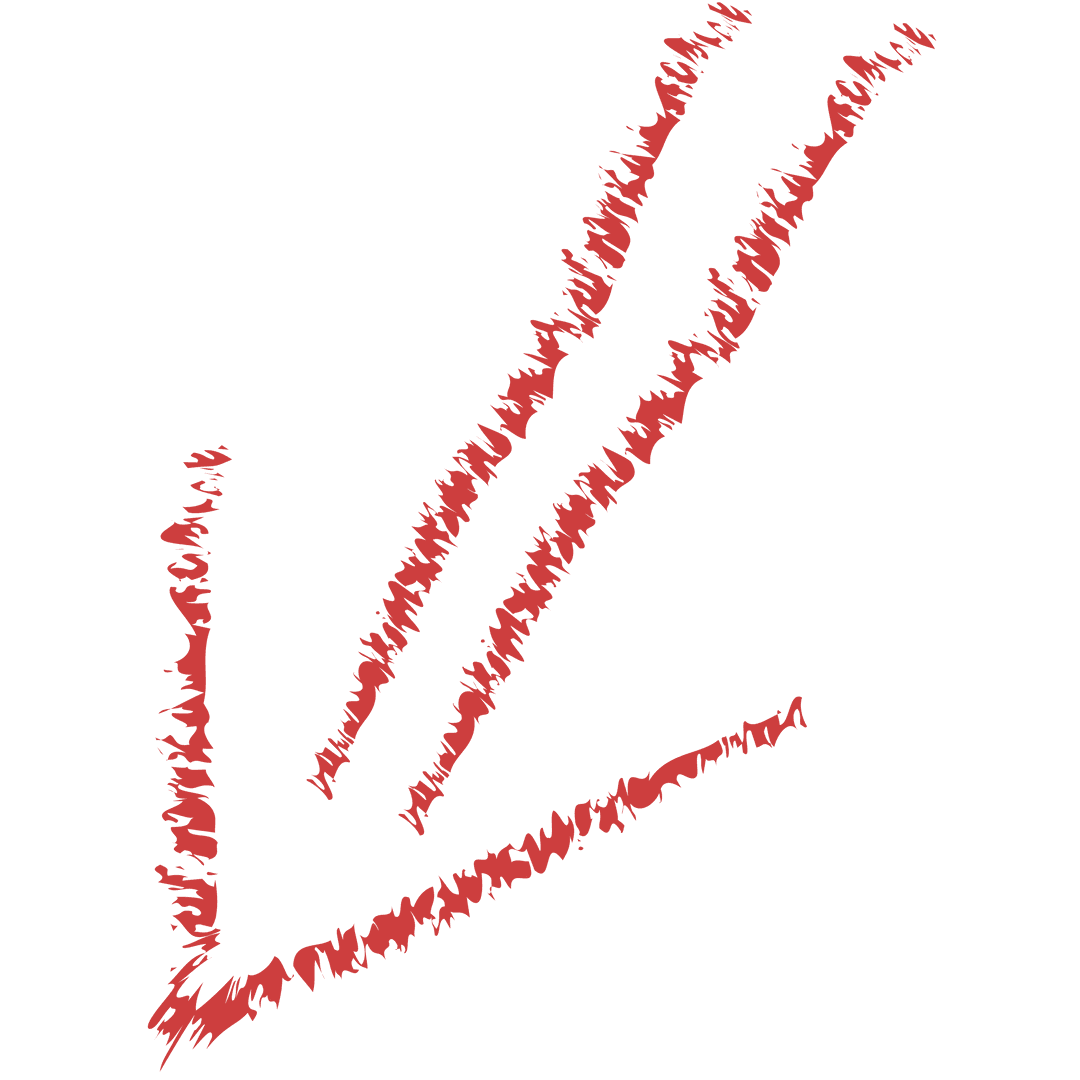 Red Hand-Drawn Arrow on Transparent Background