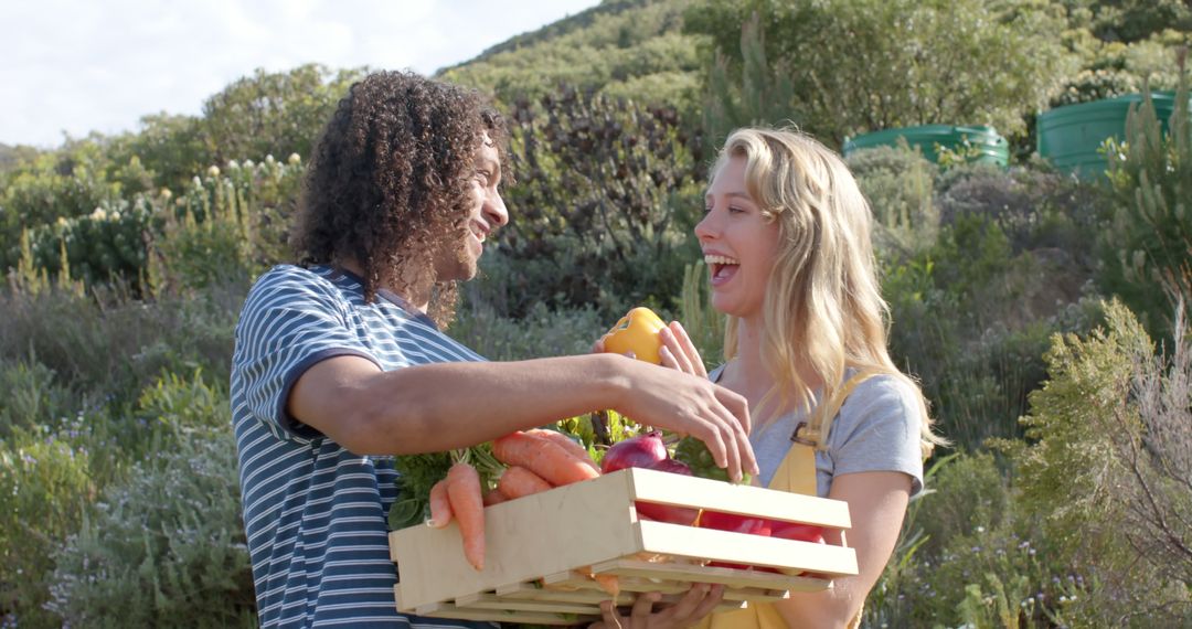 Happy Couple Harvesting Organic Vegetables Outdoors