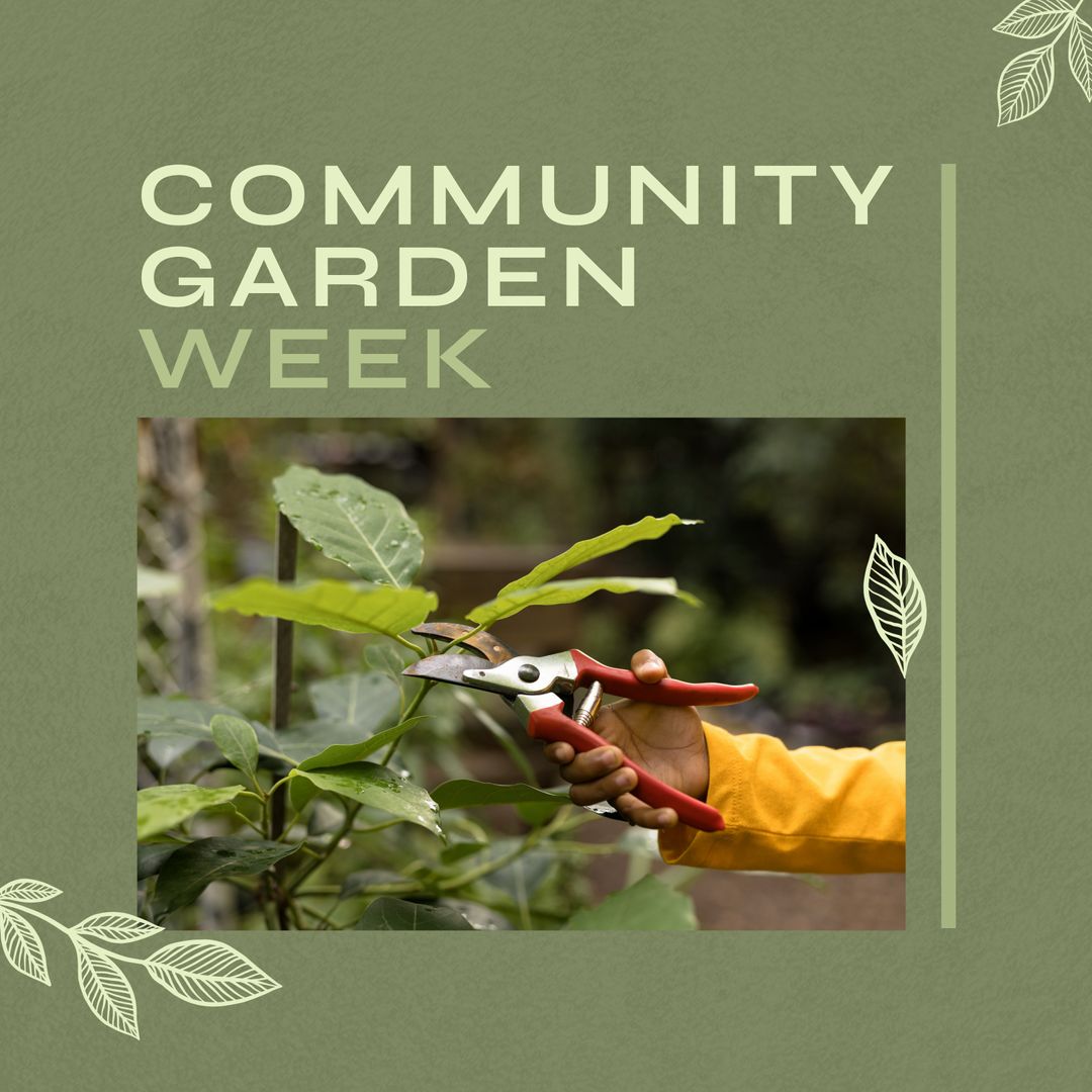 Celebrating Community Garden Week with Nature Activities