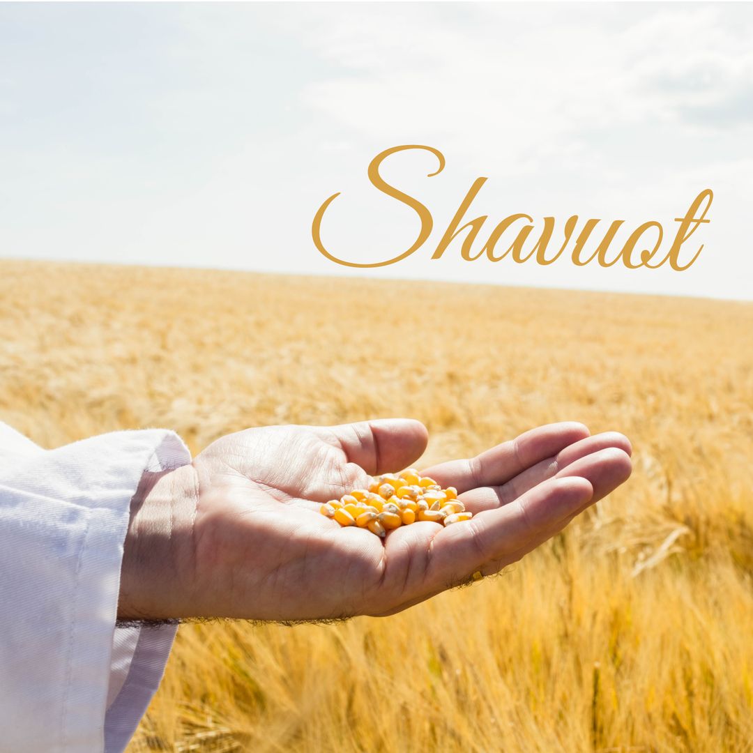 Shavuot Celebration in Golden Wheat Field with Grains in Hand