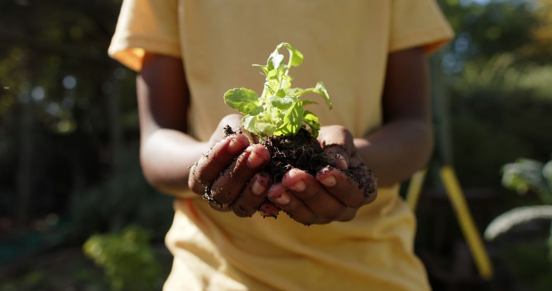 Close-up of Child Holding Plant in Garden - Free Images, Stock Photos and Pictures on Pikwizard.com