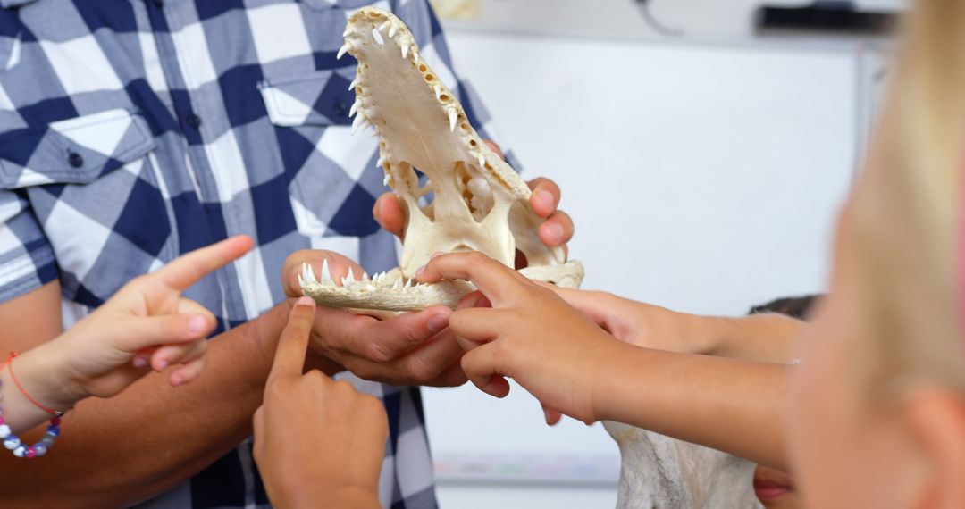 Children Learning About Animal Skeletons in Classroom Setting