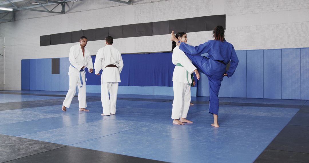 Martial Arts Training Session in Professional Dojo Environment