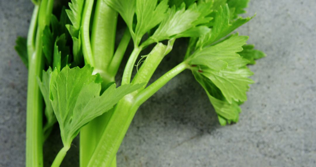 Fresh Celery Stalks on Gray Stone Background - Free Images, Stock Photos and Pictures on Pikwizard.com