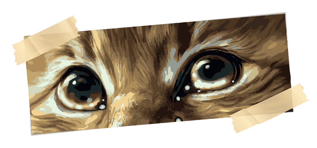 Stylized Cat Eye Illustration with Transparent Background