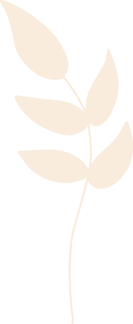 Minimalist Botanical Illustration with Cream Leaves Transparent Background