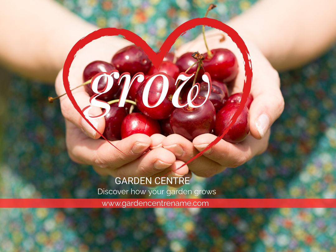 Hands Cradling Cherries with Heart Symbol for Sustainable Farming Promotion