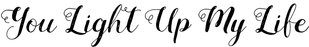 You Light Up My Life Vector Text on Transparent Background