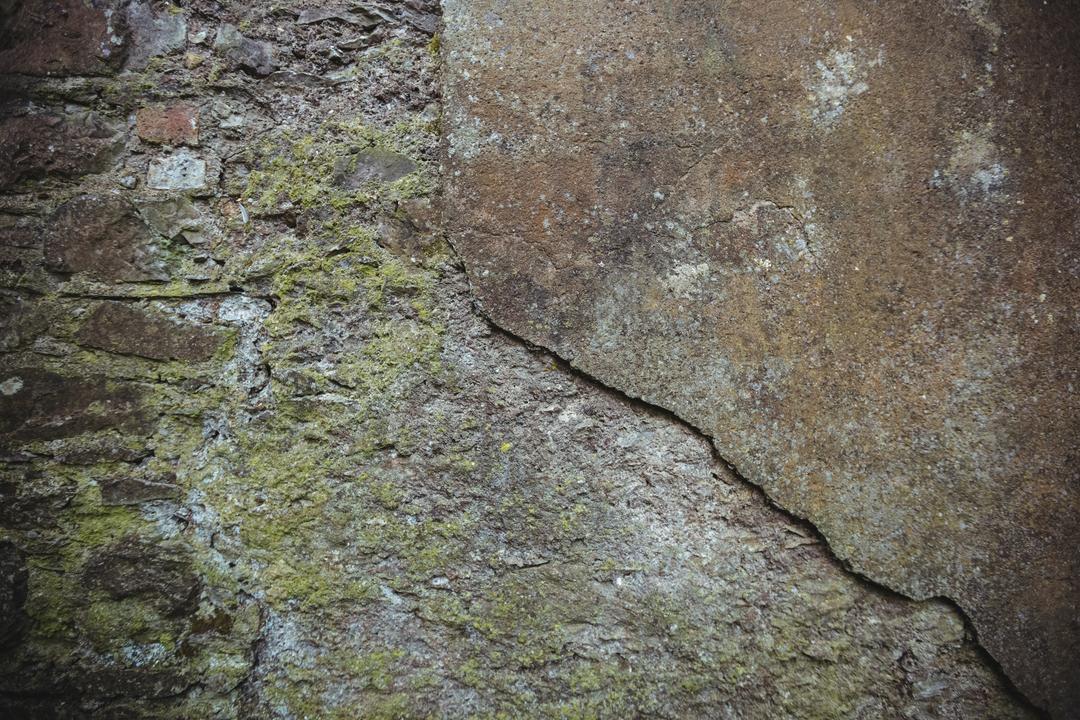 Close-up of Weathered Stone Wall with Moss - Free Images, Stock Photos and Pictures on Pikwizard.com