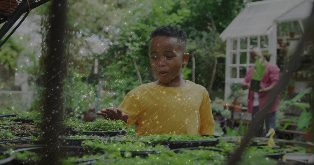 Child Exploring Plants in Lush Nursery with Greenhouse in Background