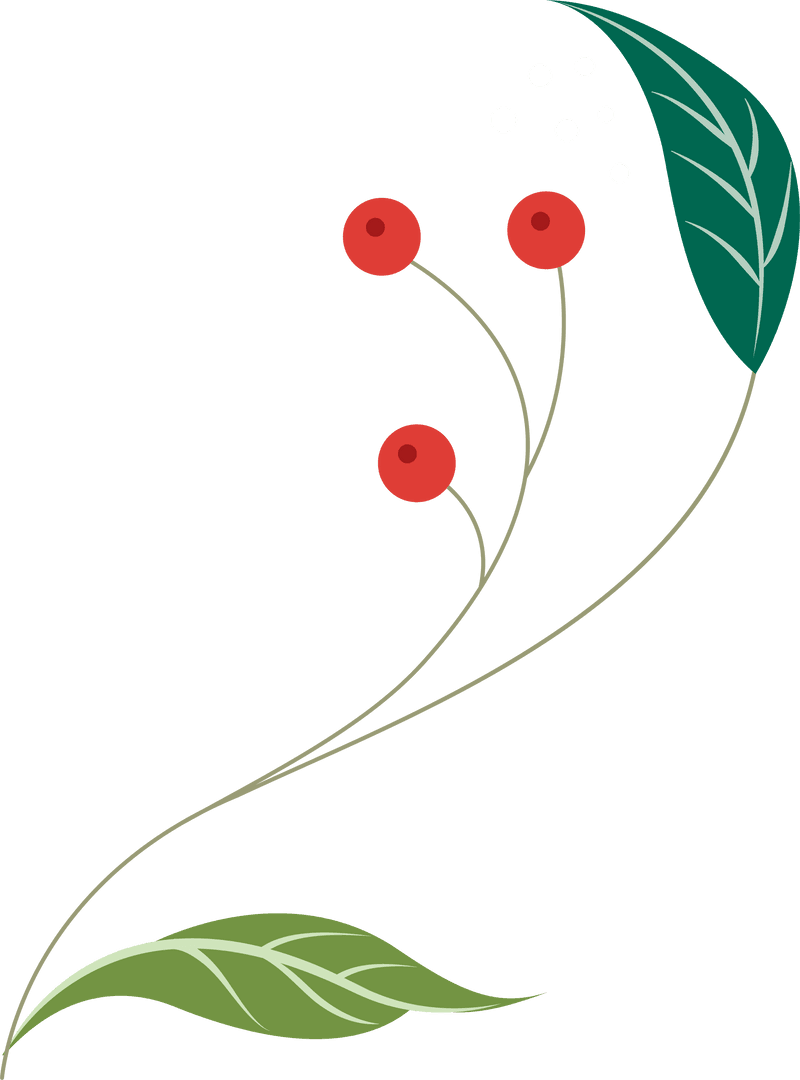 Minimal Botanical Design with Berries on Transparent Background