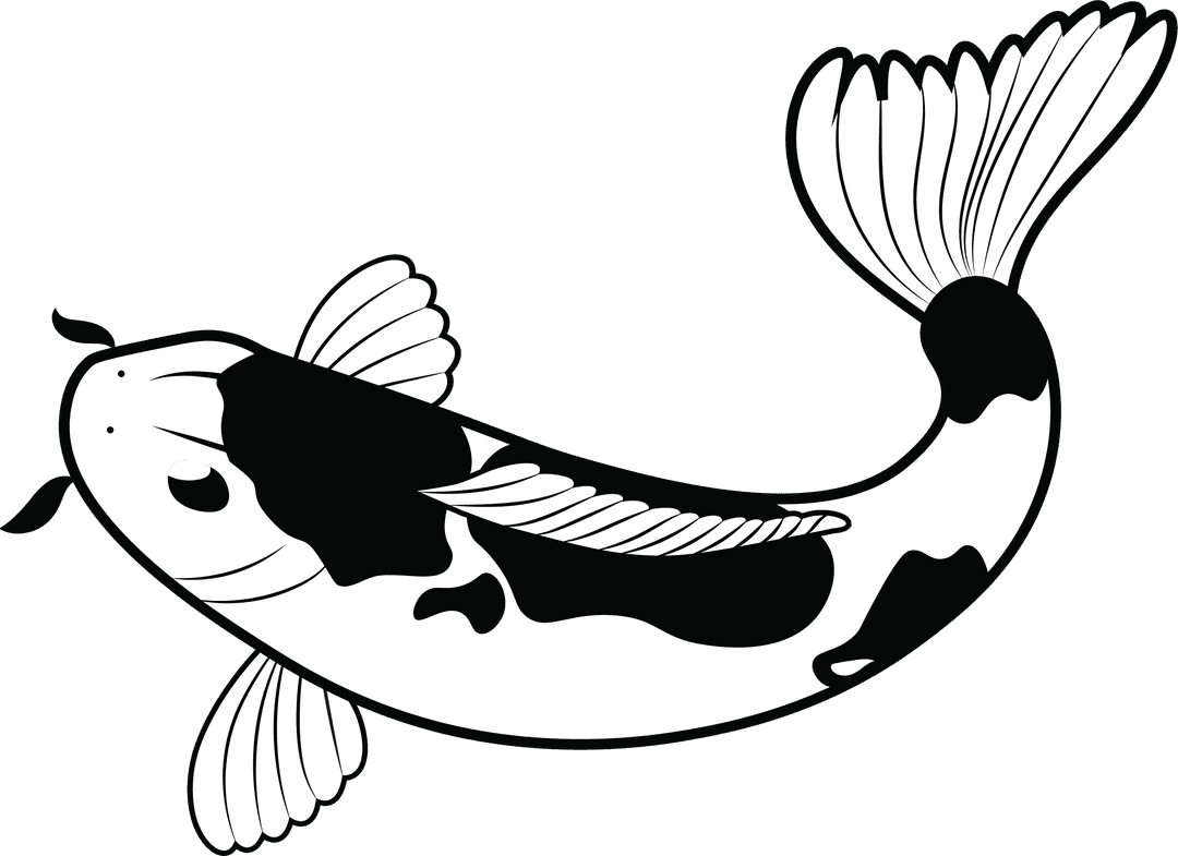 Koi Fish with Flowing Fins in Elegant Transparent Illustration