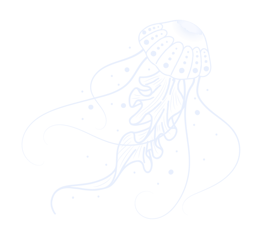 Charming Jellyfish Transparent Digital Line Art with Bubbles