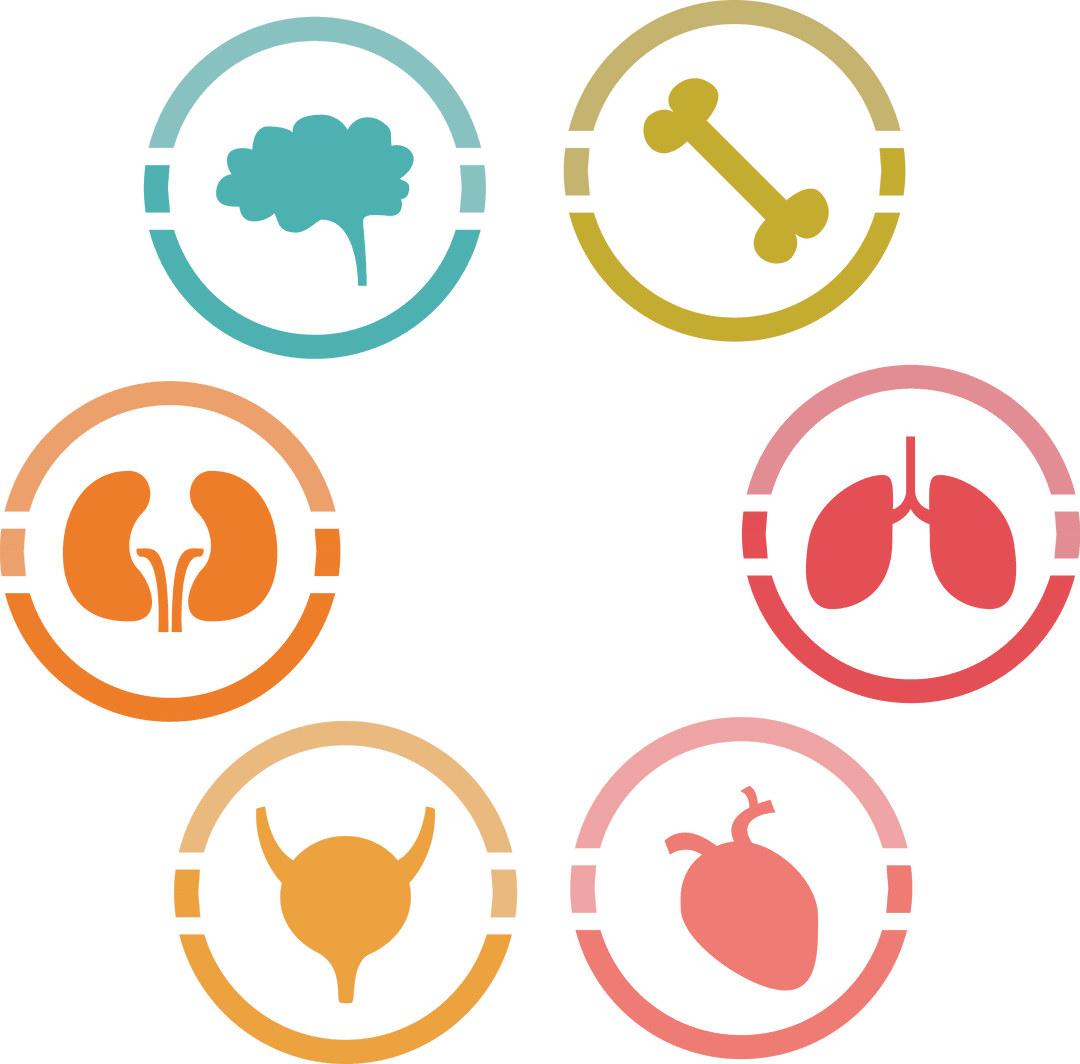 Transparent Icons Set of Human Organs in Colorful Circular Graphics