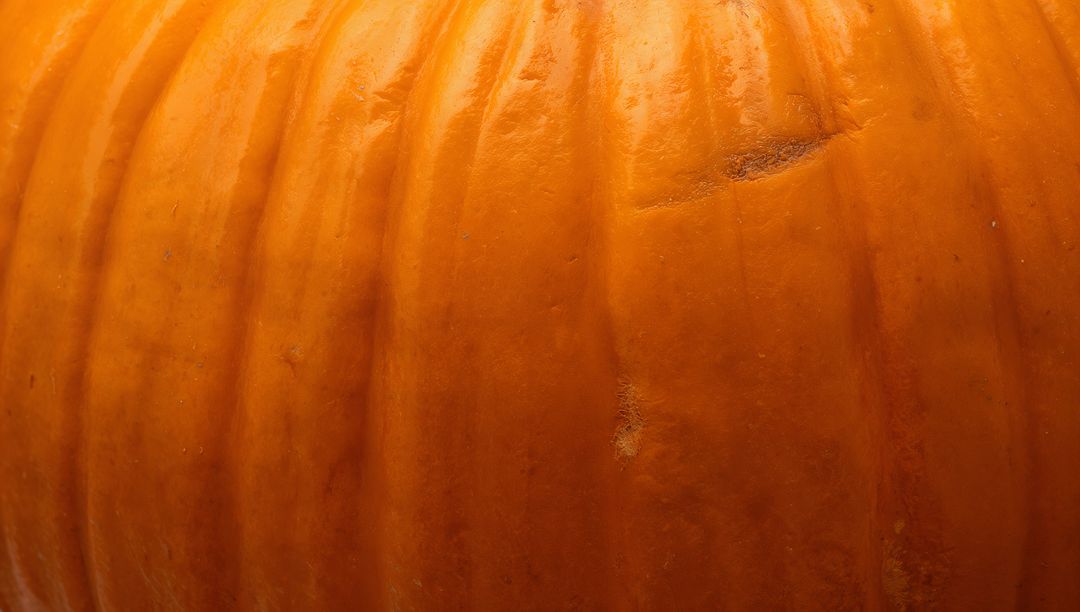 Close-up pumpkin skin texture with glossy ribs and rustic scratches for autumn background