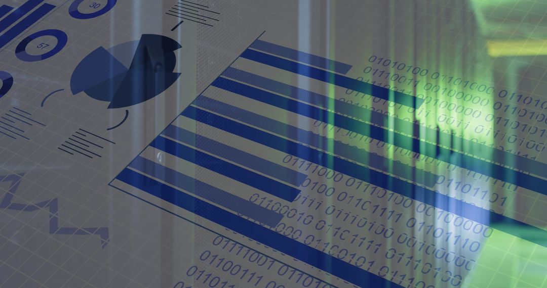 Digital Data Processing Over Server Infographic