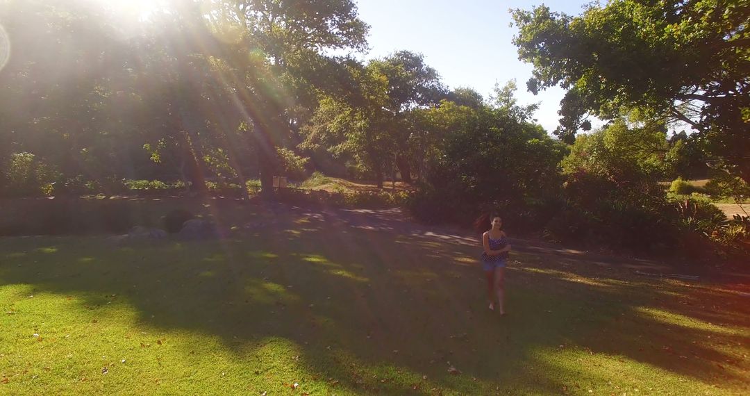 Sunlight Streaming through Trees in a Scenic Park - Free Images, Stock Photos and Pictures on Pikwizard.com