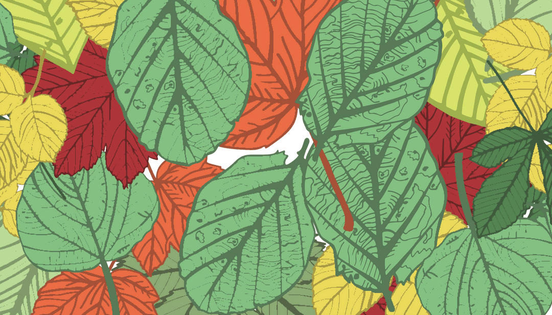 Colorful Autumn Leaves Illustration on Transparent Background