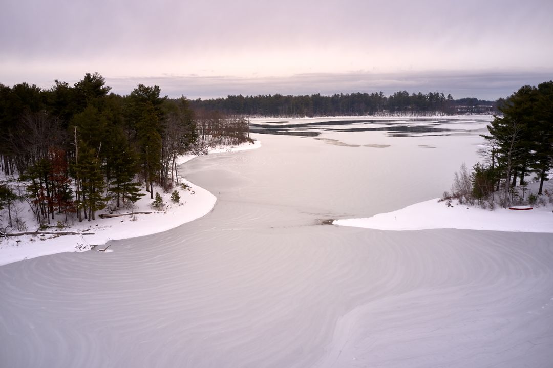 Frozen Lake Shoreline with Snowy Pine Island and Soft Pink Winter Sky at Dusk