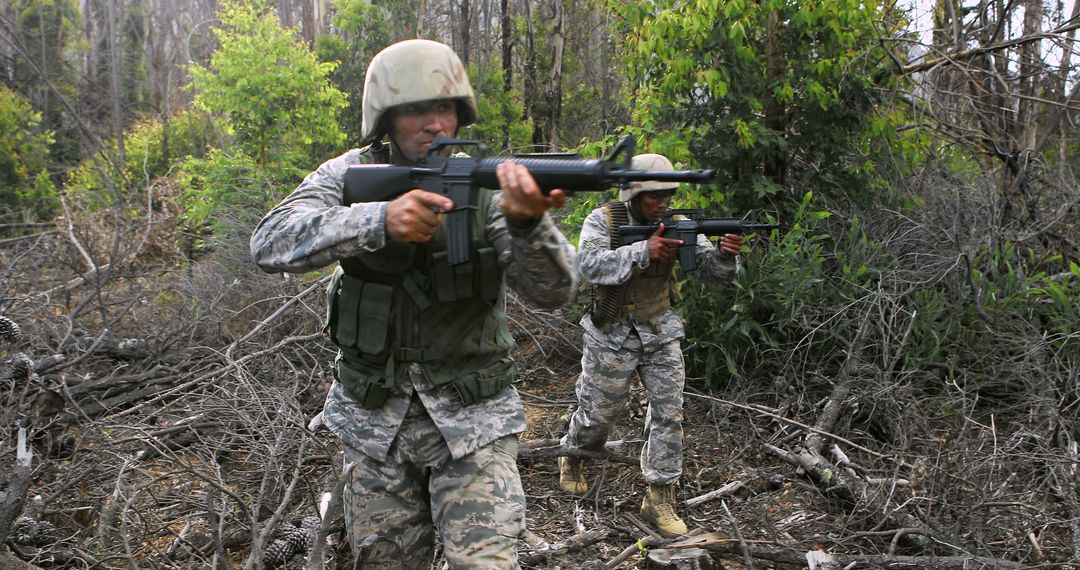 Soldiers Engaged in Tactical Training Exercise in Forested Terrain