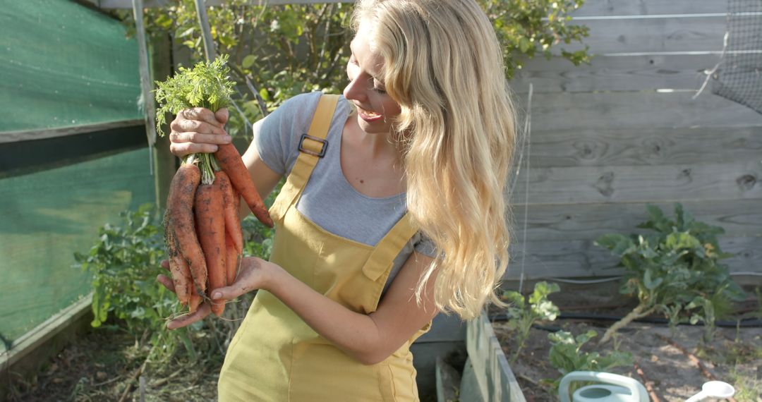 Woman Harvesting Fresh Carrots in Garden - Free Images, Stock Photos and Pictures on Pikwizard.com