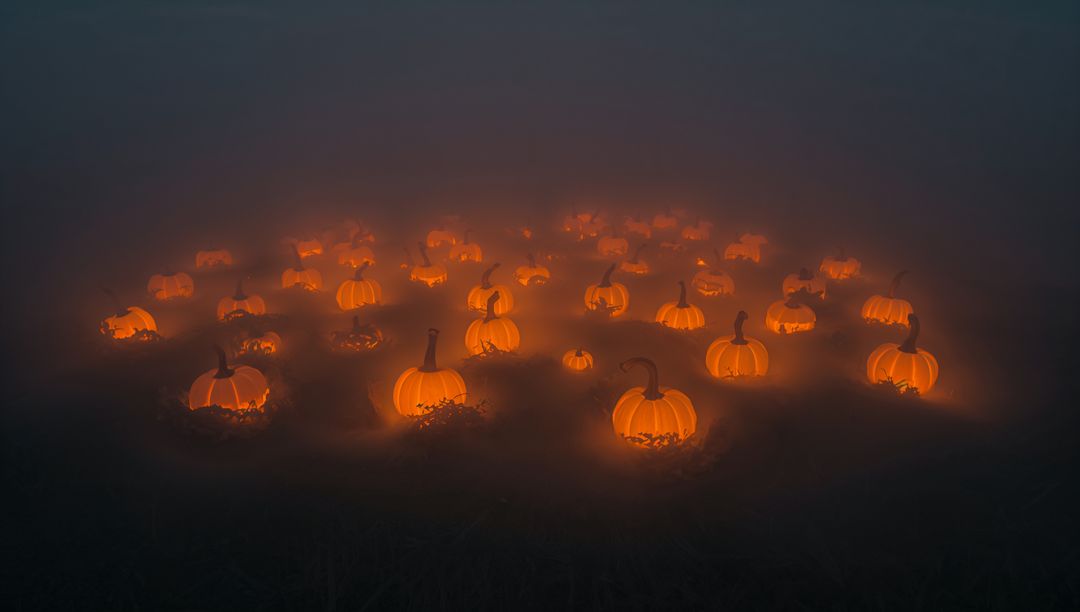 Eerie Glowing Pumpkins in Mysterious Foggy Field