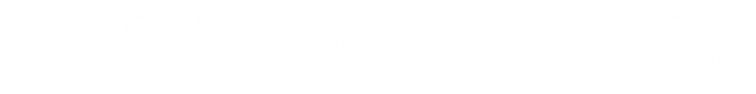 You Mean the World to Me Valentine's Text on Transparent Background