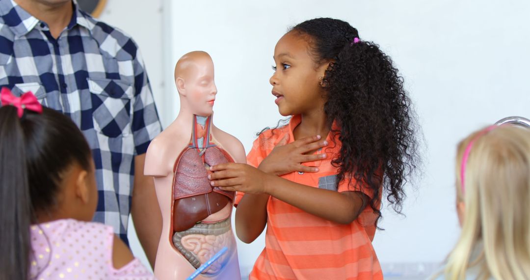 Young Girl Explaining Anatomy Model in Classroom Setting
